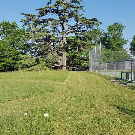 La Loge Du Grand Cedre, D'hotes Socosy 3* Fontcouverte (Charente-Maritime)