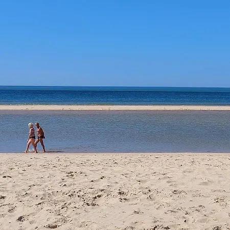 Affittacamere La Loge Du Grand Cèdre, D'hôtes Socosy Fontcouverte (Charente-Maritime)