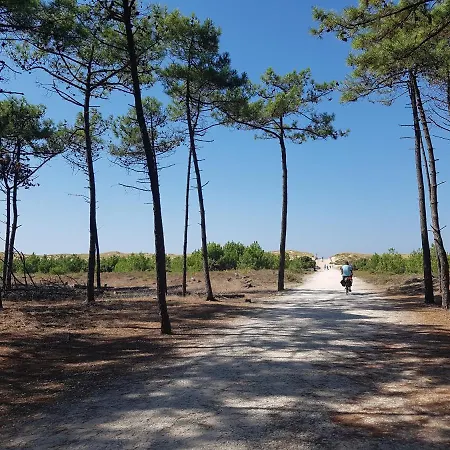 La Loge Du Grand Cedre, D'hotes Socosy