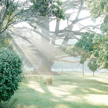 La Loge Du Grand Cedre, D'hotes Socosy Gasthuis Fontcouverte (Charente-Maritime)