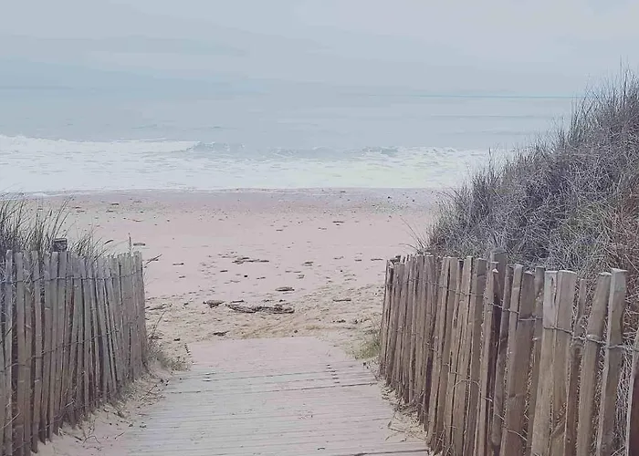 La Loge Du Grand Cedre, D'hotes Socosy Pensión 3*