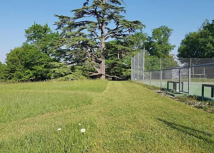 La Loge Du Grand Cedre, D'hotes Socosy 3* Fontcouverte (Charente-Maritime)