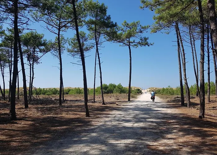 La Loge Du Grand Cedre, D'hotes Socosy