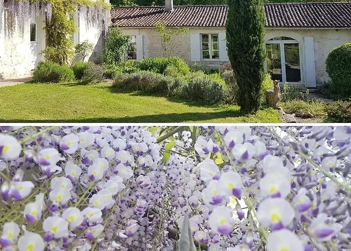 La Loge Du Grand Cedre, D'hotes Socosy 3* Fontcouverte (Charente-Maritime)