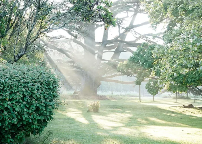 La Loge Du Grand Cedre, D'hotes Socosy Pensión Fontcouverte (Charente-Maritime)