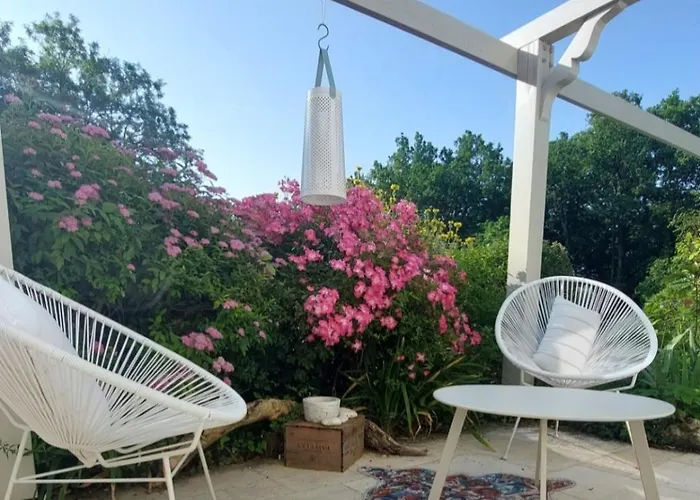 La Loge Du Grand Cedre, D'hotes Socosy Pensión